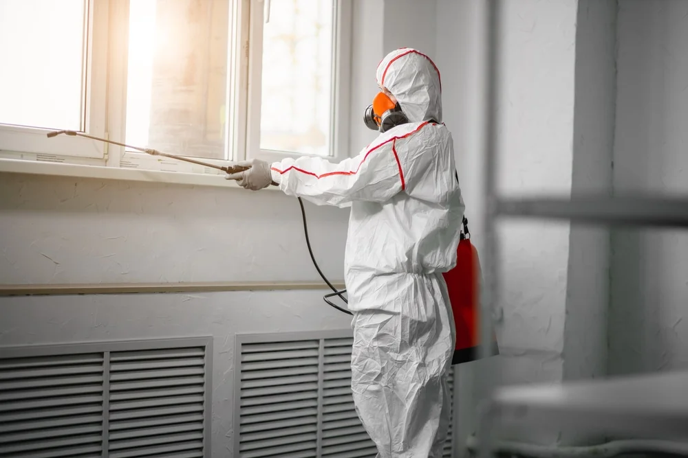 Professional mold remediation services in Orondo, WA